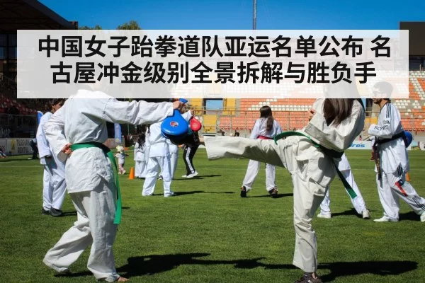 taekwondo kick competition